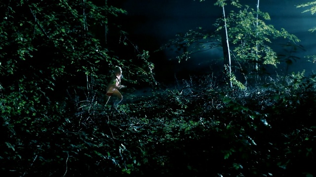 Video Reference: nature, green, forest, ecosystem, vegetation, darkness, tree, jungle, woodland, light