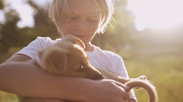 Video Reference: Child, Ear, Sporting Group, Sunlight, Toddler, Companion dog, Drinkware, Puppy love, Canidae, Dog breed