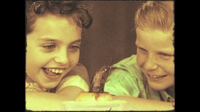 Video Reference: Face, Forehead, Nose, Cheek, Human, Photo caption, Photography, Happy, Smile, Selfie