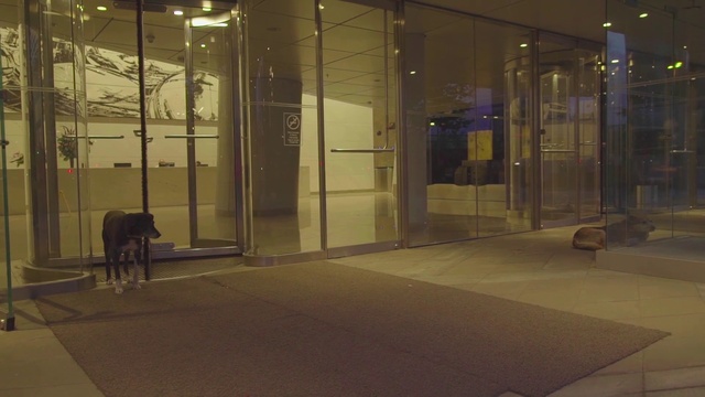 Video Reference: Glass, Building, Architecture, Night, Door, Interior design