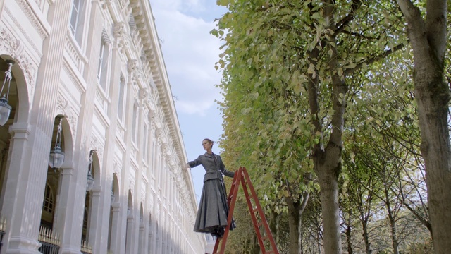 Video Reference: Photograph, Tree, Wall, Architecture, Woody plant, Plant, Facade, Photography, Branch, Street, Person