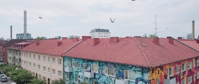 Video Reference: Roof, Town, Property, Building, Residential area, Architecture, Sky, Urban area, House, Neighbourhood