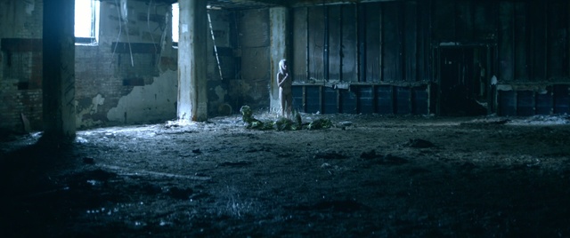 Video Reference: darkness, night, water, tree