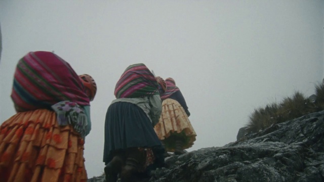 Video Reference: Adaptation, Landscape, Travel