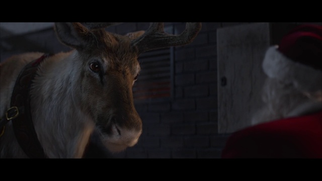 Video Reference: Wildlife, Darkness, Deer, Snout, Goats, Fictional character, Reindeer, Fiction
