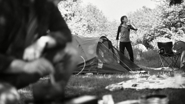 Video Reference: black, photograph, black and white, tree, plant, monochrome photography, photography, car, monochrome, grass, Person