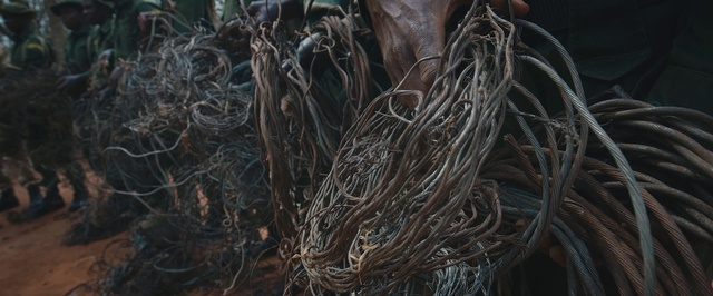 Video Reference: Plant, Root, Scrap, Wire
