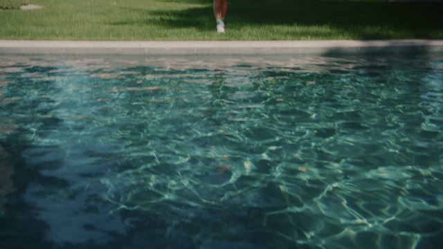 Video Reference: Water, Water resources, Green, Aqua, Swimming pool, Grass, Reflection, Leisure, Watercourse, Recreation