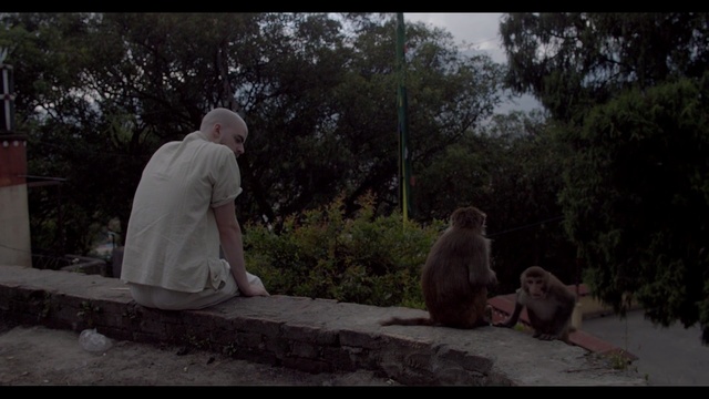 Video Reference: mammal, vertebrate, tree, screenshot, primate, temple, human, darkness, girl, jungle, Person