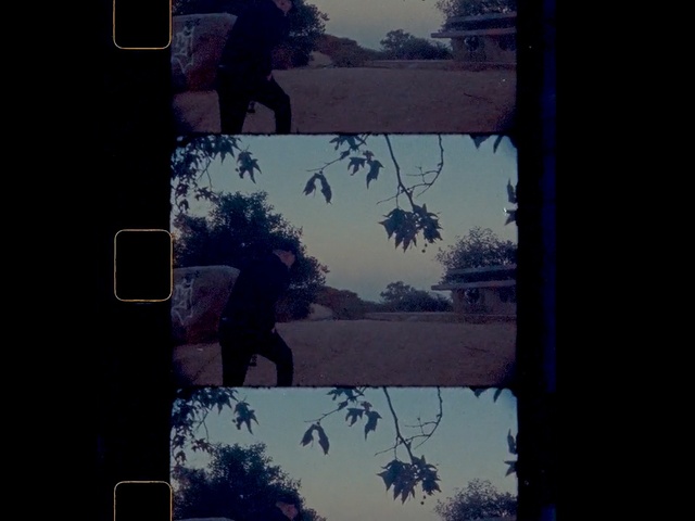 Video Reference: Sky, Purple, Violet, Illustration, Tree, Darkness, Visual arts, Art, Branch, Painting, Person, Light, Dark, Traffic, Lit, Hanging, Photo, Sign, Street, Room, Sitting, Standing, Man, Dog, Pole, Stop, Television, Holding, Walking, White, People, Snow, Text, Screenshot