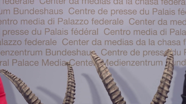 Video Reference: Text, Font, Organism, Adaptation, Plant, Metal