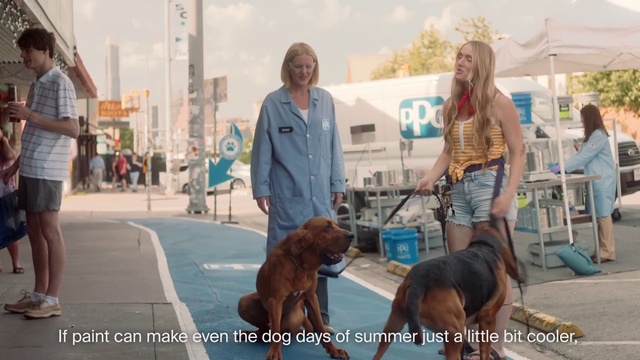 Video Reference: Mammal, Vertebrate, Dog, Canidae, Dog breed, Carnivore, Irish setter, Sporting Group, Companion dog, Conformation show