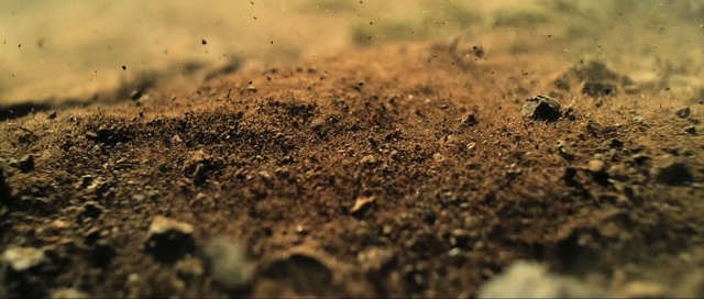 Video Reference: soil, macro photography, wildlife, stock photography