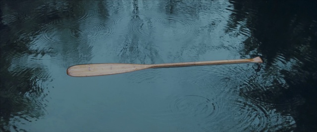 Video Reference: water, reflection, water resources, organism, trident, sky, Person