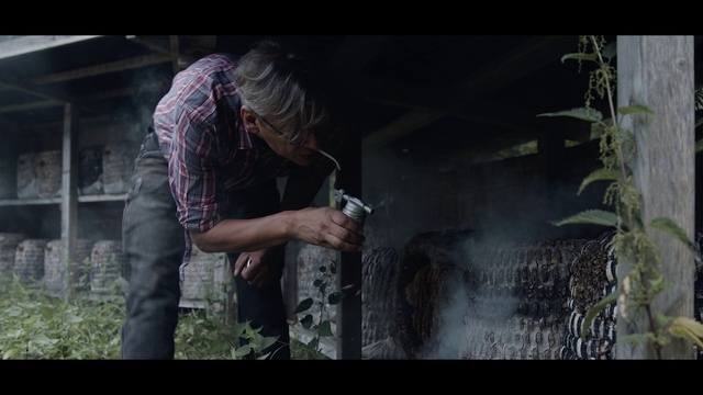 Video Reference: Human, Tree, Adaptation, Screenshot, Photography, Plant, Digital compositing, Movie, Fiction, Fictional character