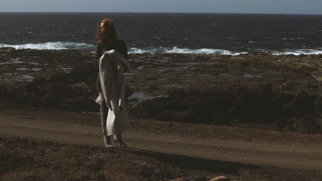 Video Reference: Sea, Coast, Shore, Ocean, Beach, Fun, Coastal and oceanic landforms, Horizon, Photography, Wave