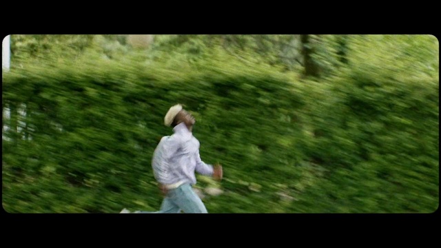 Video Reference: People in nature, Nature, Green, Photograph, Grass, Lawn, Natural environment, Leaf, Tree, Shrub