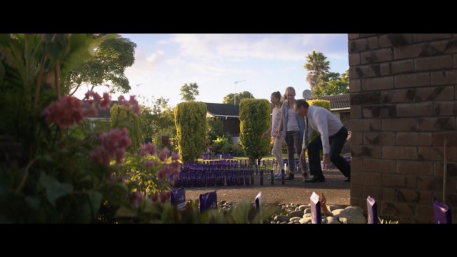 Video Reference: Photograph, Nature, Garden, Photography, Fun, Tree, Spring, Backyard, Screenshot, Lawn, Person