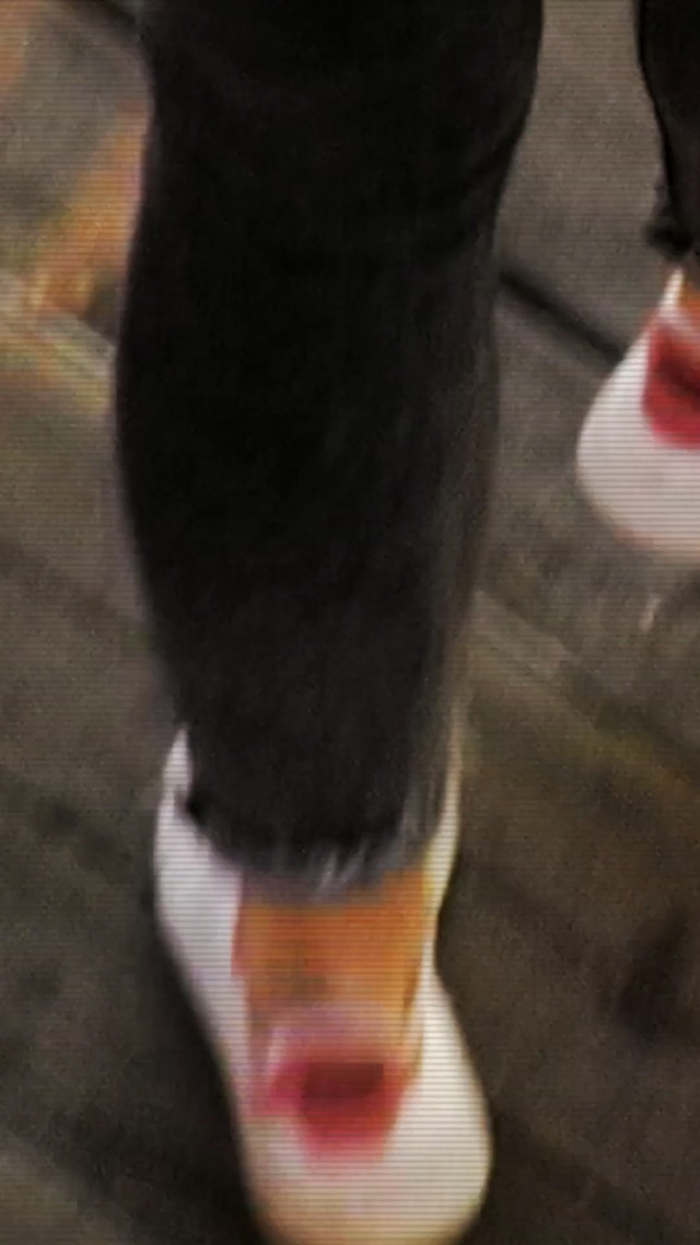 Video Reference: Footwear, Leg, Shoe, Joint, Human leg, Ankle, Jeans, Calf, Foot, Knee