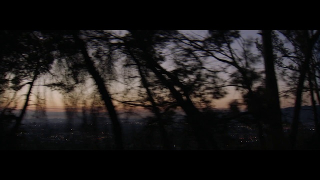 Video Reference: Sky, Nature, Tree, Black, Atmospheric phenomenon, Darkness, Natural environment, Atmosphere, Branch, Natural landscape, Person