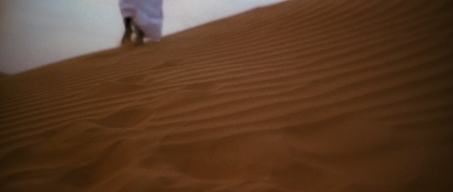 Video Reference: Natural environment, Sand, Hardwood, Wood, Floor, Wood flooring, Wood stain, Brown, Desert, Flooring, Bed, Indoor, Sitting, Table, Dark, White, Black, Night, Standing, Man, Large, Red, Cat, Laying, Food, Room, Blue