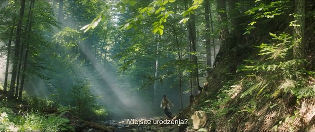 Video Reference: Nature, Nature reserve, Forest, Vegetation, Old-growth forest, Jungle, Natural landscape, Natural environment, Rainforest, Valdivian temperate rain forest