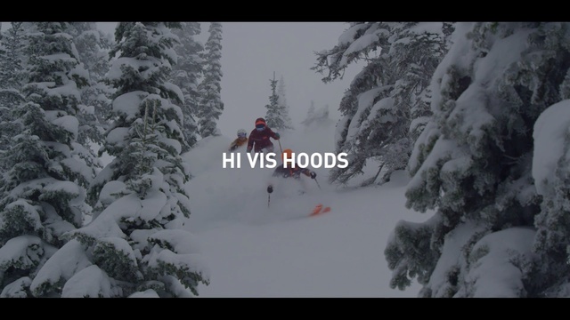 Video Reference: snow, winter, geological phenomenon, tree, winter sport, terrain, piste, adventure, ridge, mountaineering