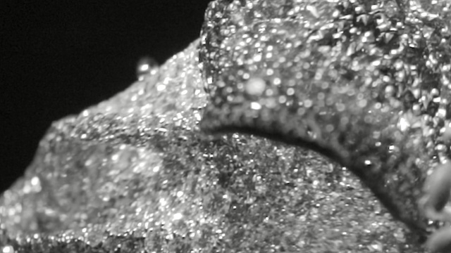 Video Reference: water, black, black and white, monochrome photography, photography, close up, monochrome, macro photography, organism, moisture