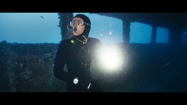 Video Reference: divemaster, underwater, underwater diving, snapshot, screenshot, water, atmosphere, scuba diving, sky, darkness
