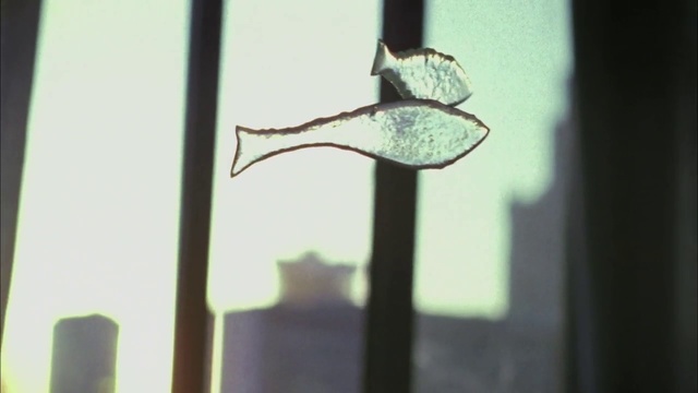 Video Reference: Green, Water, Twig, Plant stem, Glass, Plant, Window, Transparent material