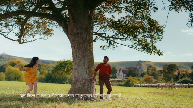 Video Reference: People in nature, Photograph, Nature, Tree, Yellow, Fun, Leisure, Grass, Woody plant, Photography