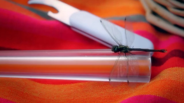 Video Reference: Orange, Material property