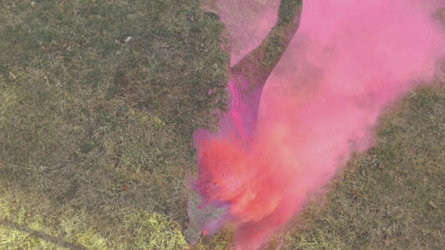 Video Reference: pink, smoke, grass, geological phenomenon, leaf, tree, fire