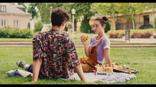 Video Reference: Picnic, Grass, Recreation, Sharing, Friendship, Summer, Fun, Adaptation, Lawn, Child