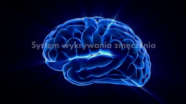 Video Reference: Brain, Brain, Medical, Electric blue, Organ, Organism, Water, Font, Human, Human body