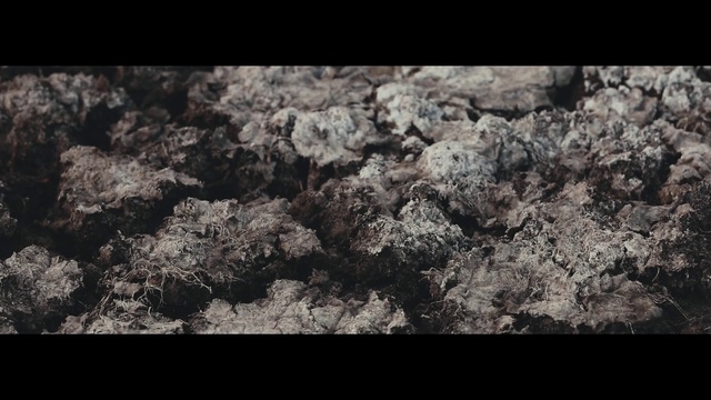 Video Reference: Soil, Rock, Black, Photograph, Brown, Organism, Geology, Photography, Monochrome photography, Close-up