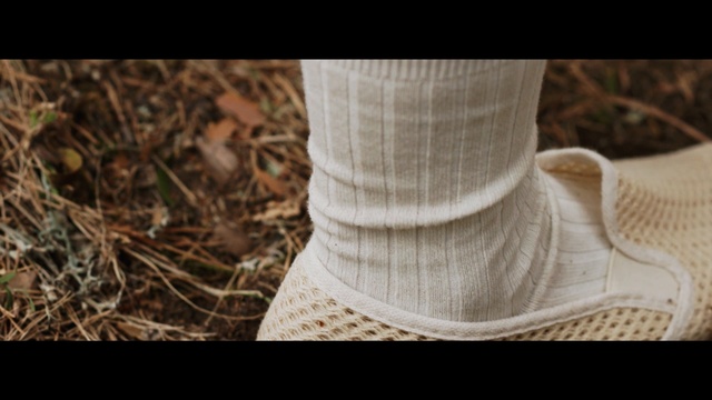 Video Reference: wood, wool, shoe, grass, stock photography
