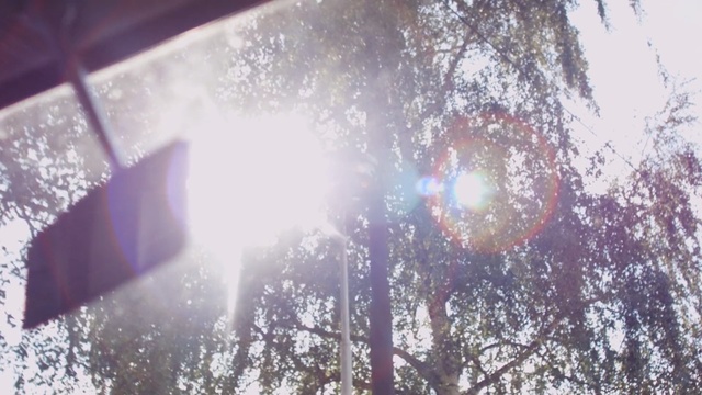 Video Reference: sky, tree, purple, light, sunlight, winter, branch, water, spring, computer wallpaper