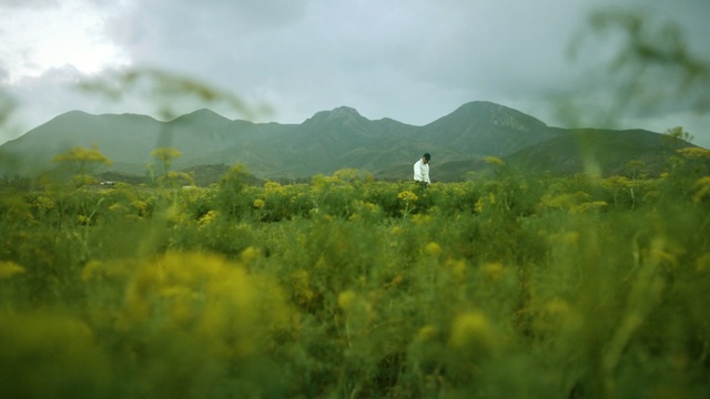 Video Reference: grassland, vegetation, ecosystem, grass, sky, field, highland, prairie, meadow, morning, Person