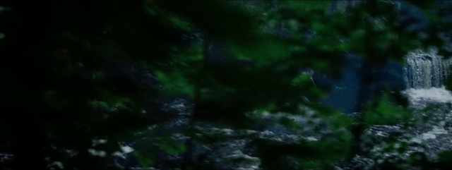 Video Reference: Nature, Green, Black, Vegetation, Natural environment, Sky, Darkness, Forest, Atmosphere, Jungle