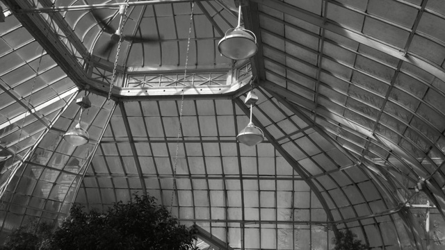 Video Reference: building, structure, greenhouse, architecture, city, glass, construction, modern, urban