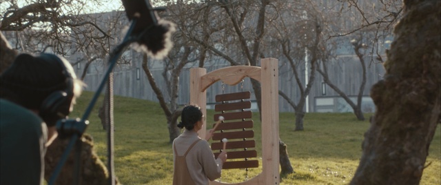 Video Reference: Public space, Outdoor play equipment, Swing, Tree, Playground, Recreation, Plant, Play