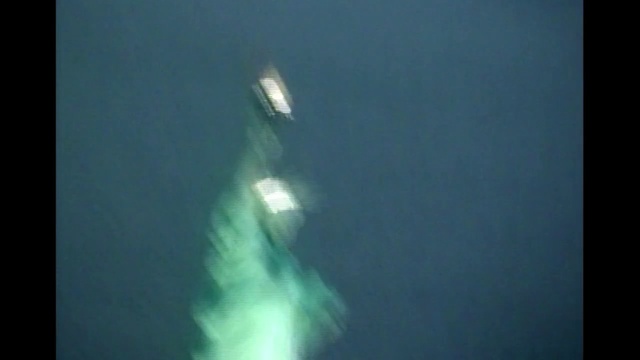 Video Reference: Marine biology, Underwater, Water, Organism, Fish, Marine mammal