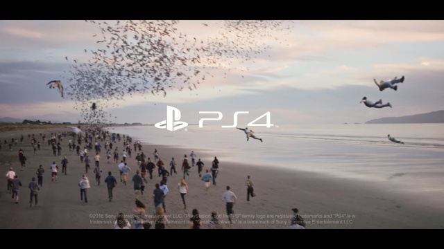 Video Reference: sky, sea, shore, atmosphere, seabird, flock, water, ocean, horizon, wave, Person