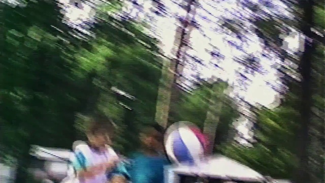 Video Reference: Nature, Natural environment, Forest, Tree, Jungle, Leisure, Nature reserve, Woodland, Rainforest, Plant