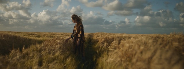 Video Reference: sky, ecosystem, field, cloud, grass family, grassland, grass, ecoregion, prairie, steppe