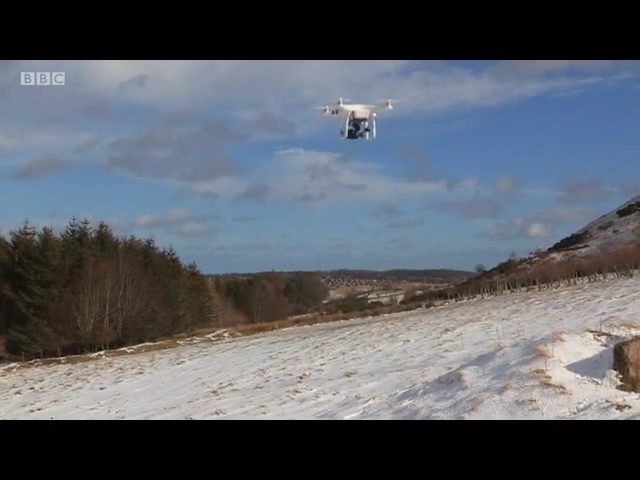 Video Reference: sky, ecosystem, mode of transport, geological phenomenon, terrain, flight, hill, ecoregion, rotorcraft, landscape