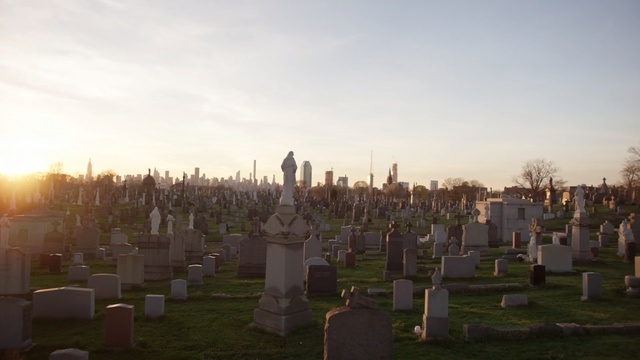 Video Reference: cemetery, sky, tree, morning, grave, sunlight, evening, headstone, grass, memorial