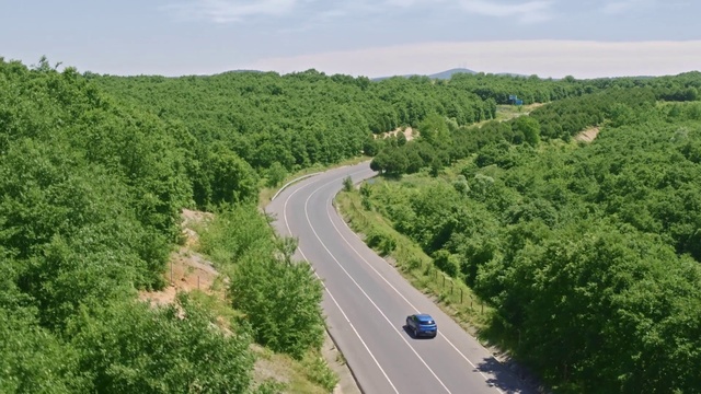 Video Reference: Road, Thoroughfare, Highway, Lane, Vegetation, Freeway, Natural landscape, Infrastructure, Tree, Asphalt