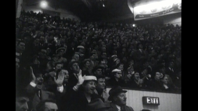 Video Reference: Crowd, Audience, People, Black, Snapshot, Event, Auditorium, Monochrome, Performance, Photography